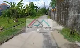 Murah/ Jual Tanah Luas 181m2 Di Pulau Saelus Pedungan Sesetan Denpasar Selatan 