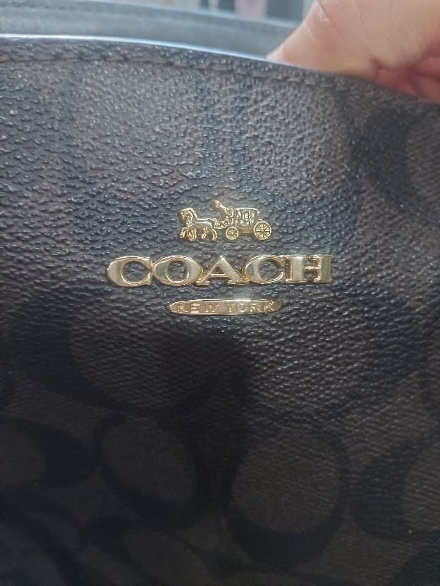 Tas Coach Ori
