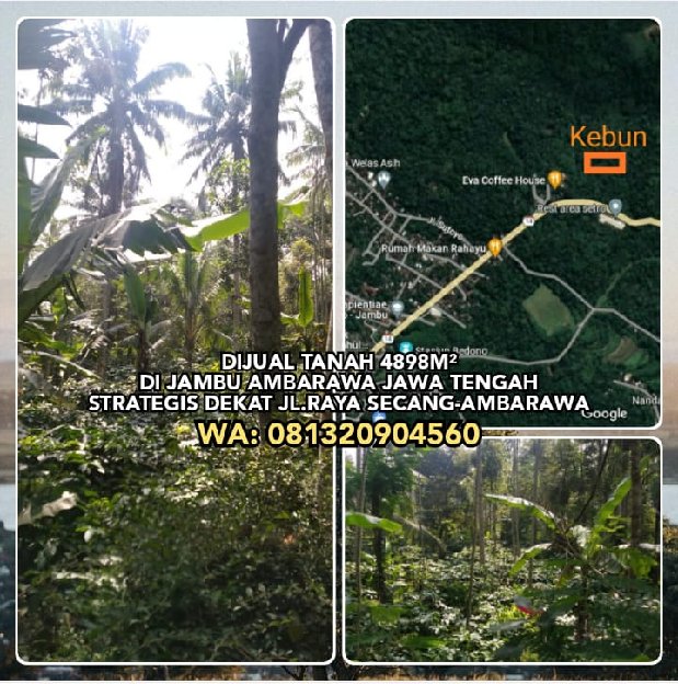 Dijual Tanah 4898m² Di Jambu Ambarawa Jawa Tengah. Strategis Dekat Jl.Raya Secang-Ambarawa