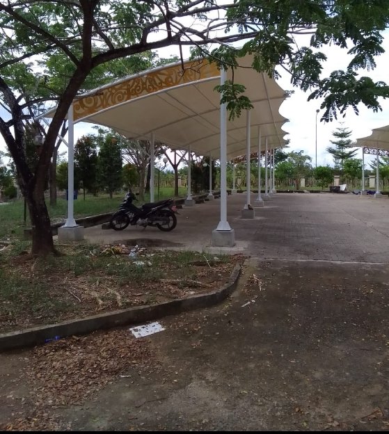 Canopy Membrane 
