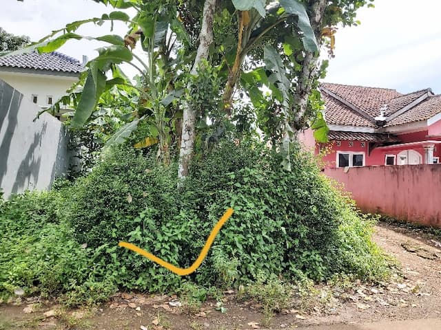 Tanah Strategis Cocok Buat Buka Usaha