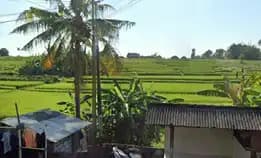 Dijual 41,75 Are, Perumahan Cempaka Mas Dalung Kuta Utara