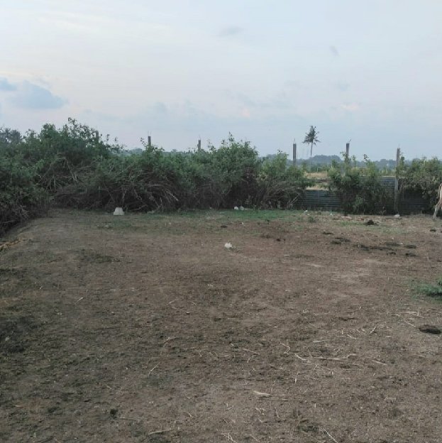 Dijual 2,18 Are, Jl. Gandamayu Pemarin Raya Munggu Kapal Mengwi