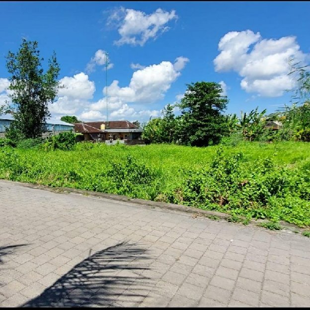 Dijual 2 Are & 4 Are, Jl. Cendrawasih Selingsing Raya Munggu Kapal Cepaka Kediri Tabanan