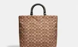 Tas Coach Rogue Tote 29 In Recycled Signature Canvas With Trompe Loeil Print (C6175)