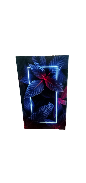 Walldecor 