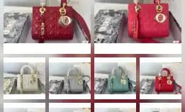 Tas Dior Classic New Frosted Diana Bag