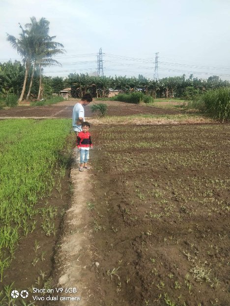 Tanah Dijual Ukuran 5x 20