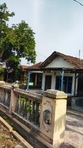 Rumah Kampung Luas Lokasi Tarik Sidoarjo Shm Cash 199jt