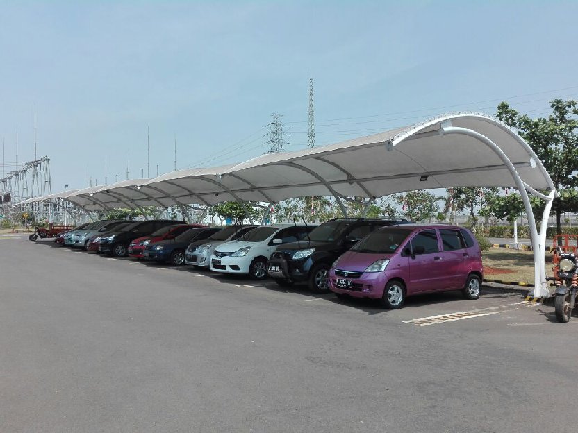 Canopy Membrane 