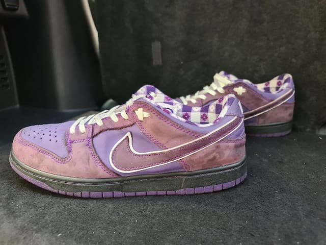 Nike Sb Dunk Low X Concepts Purple Lobstersize 44