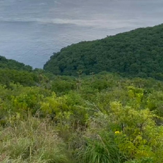 Dijual 2,1 Ha. Jl. Rahwana Beach Unblock Ocean View Pantai Joshua Pejukutan Nusa Penida Klungkung