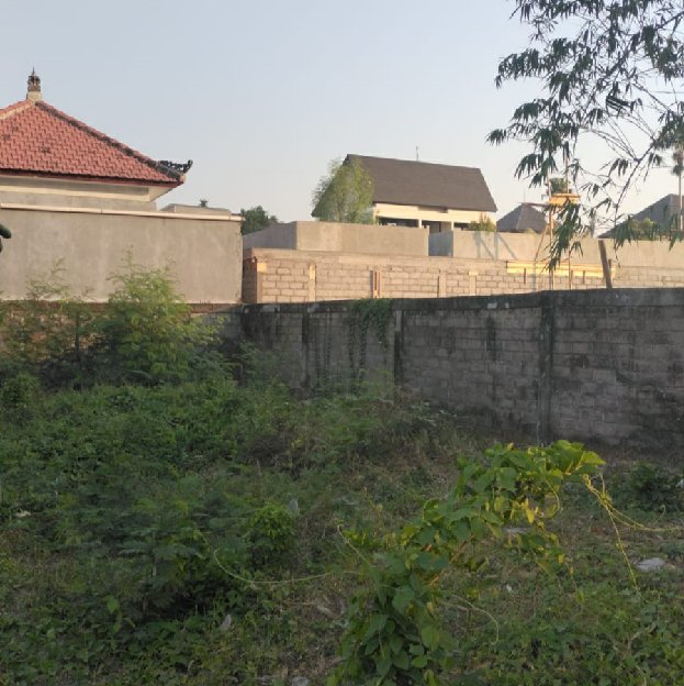 Dikontrakan 5 Are, Jl. Kayu Tulang Selatan Canggu Kuta Utara
