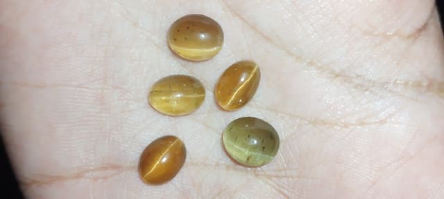 Batu Permata Cat Eye ( Mata Kucing ) 5 Pcs . 