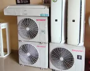 Ac Sharp 1/2 Pk - 1 Pk