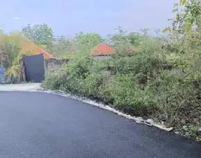 Dijual 7,02 Are, Jl. Pantai Balangan Cengiling Jimbaran Atas Kuta Utara