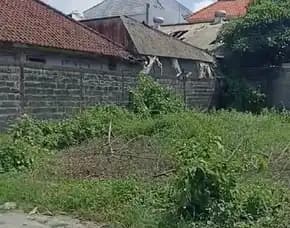 Dijual 5 Are, Jl. Nuansa Indah Sel. Mahendradata Buluh Indah Denpasar
