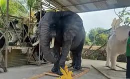 Patung Gajah