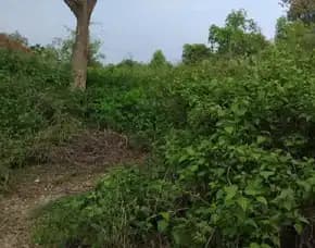 Dijual 44 Are, Jl. Tunjung Samping Hillstone Villa Resort Ungasan Kuta Selatan