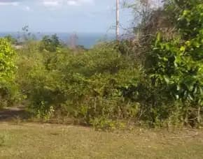 Dijual 1 Ha. Full View, Jl. Tunjung Br. Kerta Lestari Ungasan Kuta Selatan