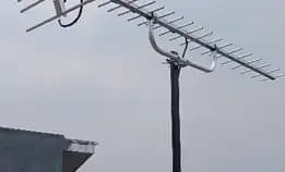 Agen Pasang Antena Tv Digital 