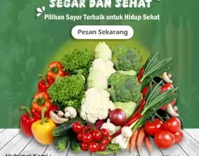 Rumah Sayur Organik Terlengkap Di Malang: Solusi Sehat Untuk Keluarga Anda