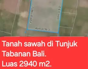 Tanah Sawah 2940 M2 Di Tunjuk Tabanan Bali