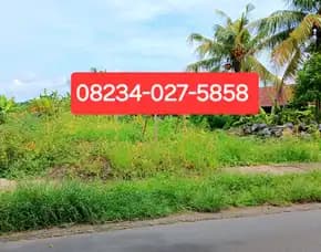 Disewakan Tanah 4 Are Di Marga Tabanan