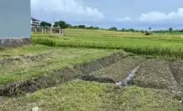 Dijual 1,83 Are, Jl. Tumbak Bayuh Pererenan Mengwi Badung