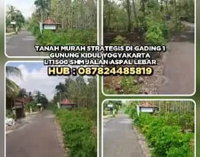 Tanah Dijual : Tanah Murah Strategis Di Gading 1 Gunung Kidul Yogyakarta.Lt1500 Shm Jalan Aspal