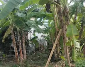 Dijual 1 Are, Jl. Perum Puri Ayodya Residence Pandak Gede Kediri Tabanan