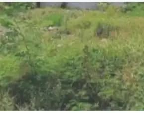 Disewakan Tanah Murah Strategis Rungkut, Kec.Gunung Anyar Surabaya Timur* 