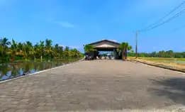 Disewakan Tanah Di Kedungu Dkt Pigstone Beach,Pererenan, Badung Bali 