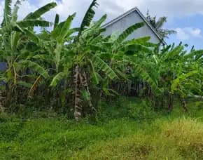 Dijual 1 Are, Jl. Bima Perum Puri Ayodya Residence Nyitdah Kediri Tabanan