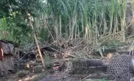Dijual 3 Are, Jl. Wy Gebyag Raya Padang Luwih Kerobokan Kaja Kuta Utara