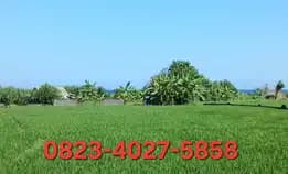Disewakan Tanah Los Pantai 50 Are Jl Ida Bagus Mantra Lebih Gianyar Bali