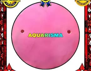 2 Pcs Cangkang Kerang Small Simping Pink Bulat Grade A+