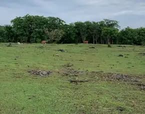 Dijual 2,361 Ha. Loss Tebing, Jl. Karang Pandawa Pandawa Paragliding Bali Kutuh Kuta Selatan