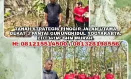 Tanah Strategis Pinggir Jalan Utama, Dekat 3 Pantai Gunungkidul Yogya. Shm 10341m² Murah