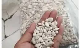 Batu Alam Koral Putih Kecil 1kg