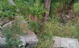 Dijual 1 Are, Jl. Pesonaku Iii Mekar Ii Pemogan Pedungan Denpasar 