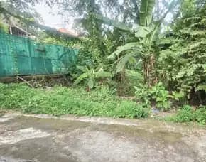 Dijual 1,5 Are, Jl. Tegal Cupek Bumbak Umalas Kerobokan Kuta Utara