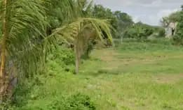 Dijual 46 Are, Jl. Segara Madu Pasar & Pantai Kedonganan Jimbaran Tuban Kuta