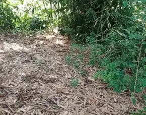Tanah Murah Luas 534m2 Dijual Cepat Di Wonogiri Dipinggir Jl Jalan Raya Provinsi Gadirojo Gedong