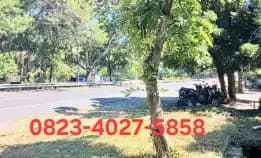 Dijual Tanah 10 Are Jl Ida Bagus Mantra Saba Gianyar Bali