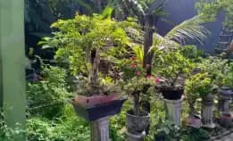 Dijual 2 Are, Jl. Wayan Gentuh Tibung Sari Dalung Kuta Utara