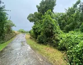Dijual 1,18 Ha. Jl. Dusun Belong Raya Meliling Kelating Kerambitan Tabanan