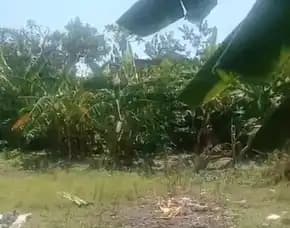 Dijual 10 Are, Jl. Sekuta Tunggak Bingin Batur Sari Sanur Denpasar