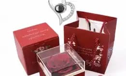 Diawetkan Mawar Asli Hidden Jewelry Box 925 Sterling Silver Kalung  100 Bahasa-The Beginning - Kado 
