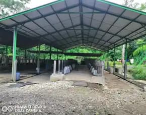 Jual Tanah Dan Kandang Sapi Di Area Balearjosari Kota Malang
